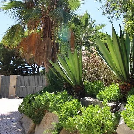 Charming Exceptional Golf In Algarve Villa *