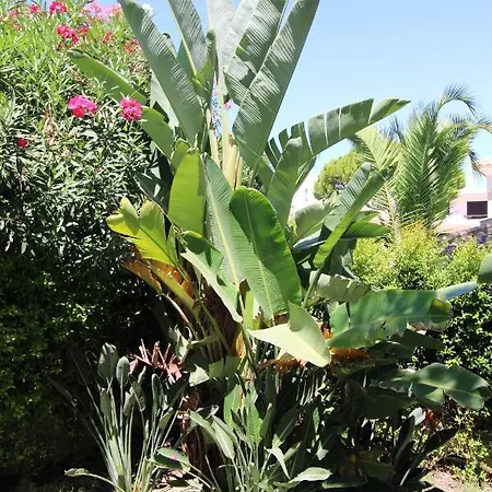 Charming Exceptional Golf In Algarve *